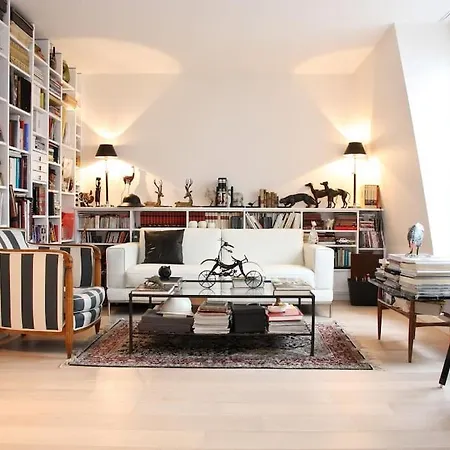 Sous Les Toits Apartment